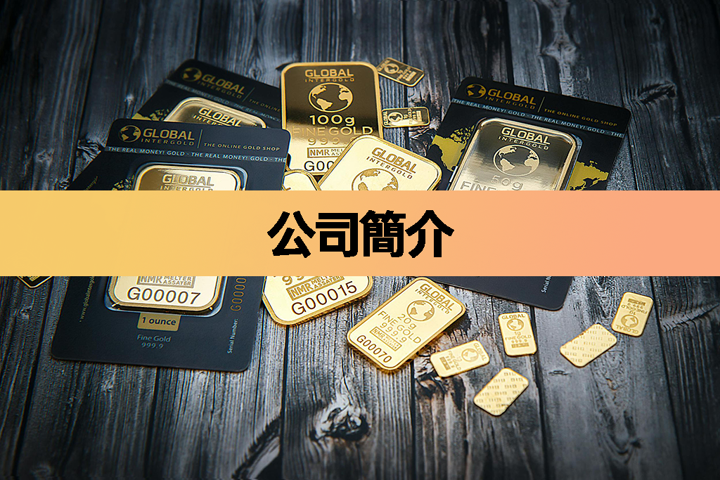 公司簡介
